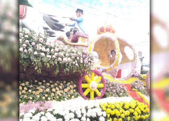Ada Cinderella Di Tournament of Flower