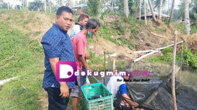 Kisah Sukses Aron Wagey, Pengusaha Ikan Air Tawar