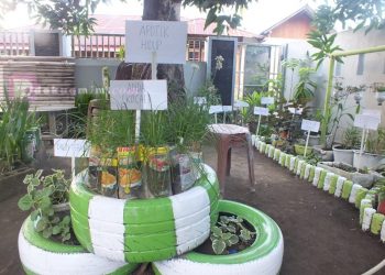 W/KI Efata Rumoong Bawah Giatkan Menanam Bumbu Dapur dan Apotik Hidup
