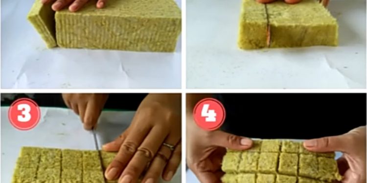 Teknik Menanam Hidroponik Untuk Pemula