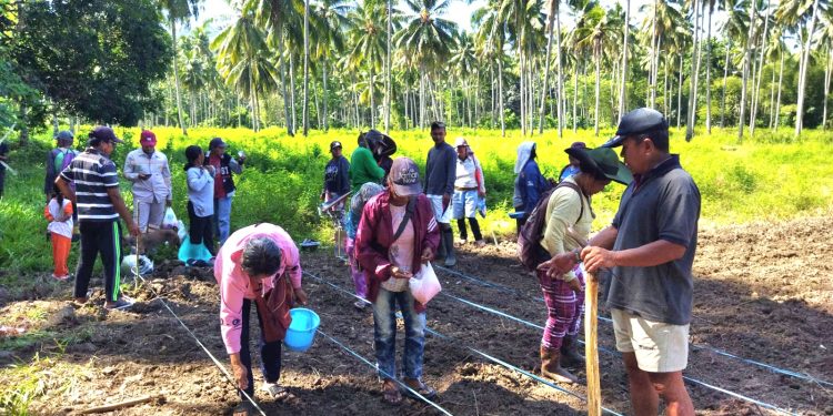 Pencanangan Program Marijo Batanam GMIM Efrata Raprap Wilayah Semenanjung