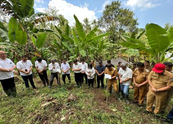 GMIM dan BNI Kolaborasi Tanam Pohon