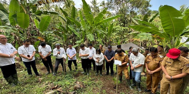 GMIM dan BNI Kolaborasi Tanam Pohon